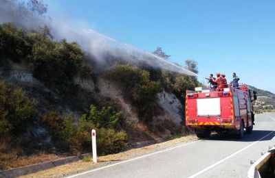 Υπόθεση Θανάση Νικολάου 