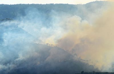 Φωτογραφία αρχείου