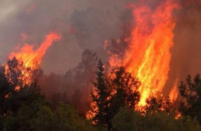 Ραντεβού για το καλώδιο του 1.4 δισεκ. ευρώ