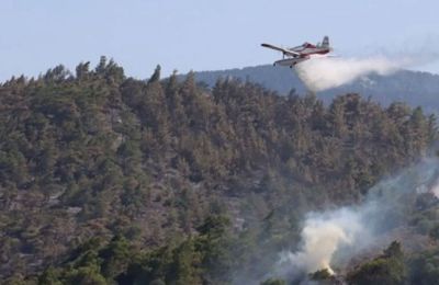 Τα γλυπτά του Παρθενώνα