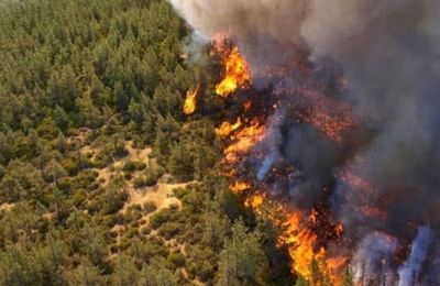 Σεισμική δόνηση στην Κύπρο