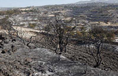 Μετά τις γιορτές των Χριστουγέννων θα αρχίσουν οι εργασίες ανακαινίσεων των καταστημάτων, οι οποίες θα έχουν ορίζοντα ολοκλήρωσης τον Σεπτέμβριο του 2025.