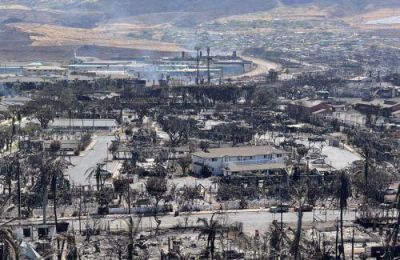 Αυτό το υπουργείο παίρνει ο Έλον Μάσκ