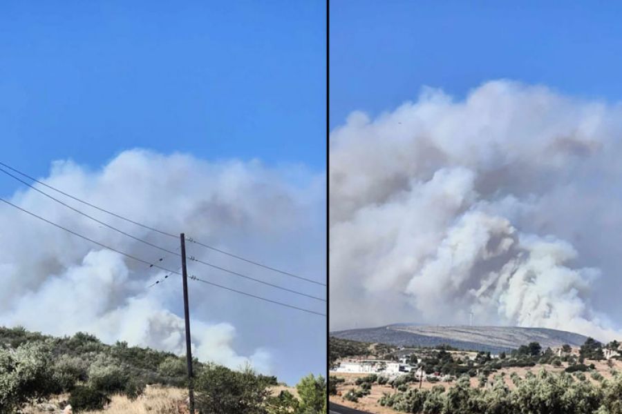 Μεγάλη φωτιά στη Βοιωτία – Νεκρός βοσκός