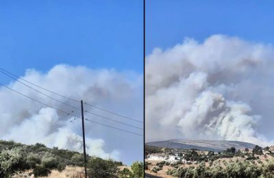 Γκανγκστερική εν ψυχρώ δολοφονία – Σκληρές εικόνες