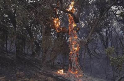 Γέννησε η Ευρυδίκη Παπαδοπούλου!