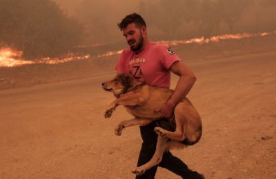 Τα γλυπτά του Παρθενώνα