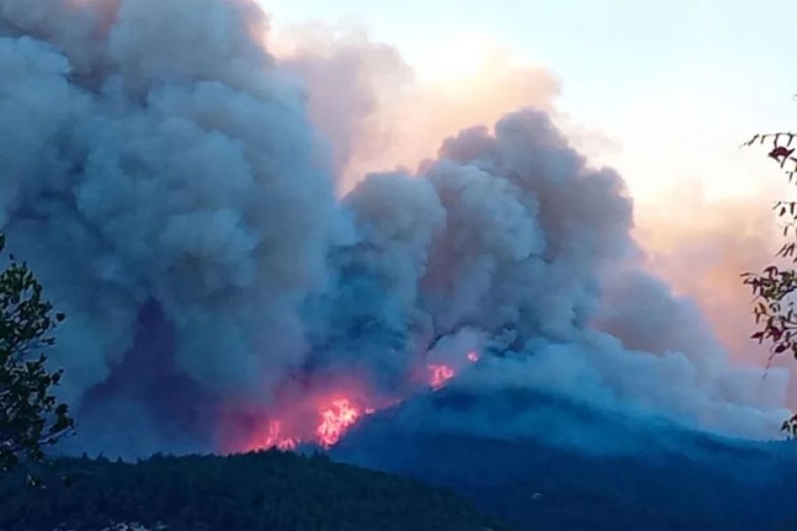 Φωτιά στον Έβρο: Εντοπίστηκε ακόμα μία απανθρακωμένη σορός