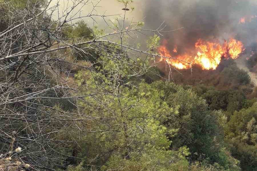 Υπό έλεγχο η πυρκαγιά – Έκαψε έκταση 5 εκταρίων (Pics)