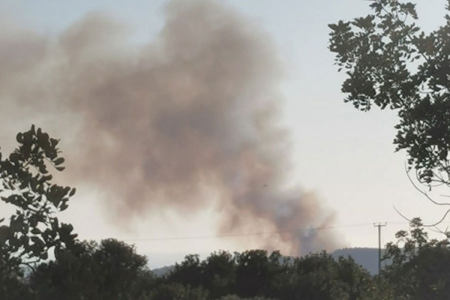 Ολονύχτια μάχη με τις φλόγες στην Επαρχία Λεμεσού – Φωτογραφία