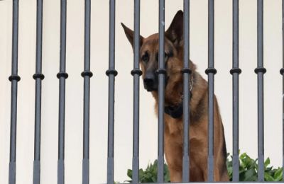 «Θηριώδης η βόμβα στους Αμπελόκηπους»