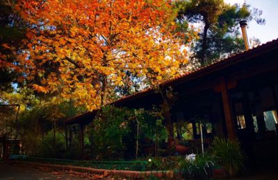 Δέκα πολύ cool μαγαζιά για πίτσα στην Κύπρο