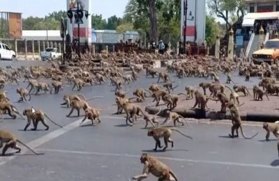 Φωτογραφία Αρχείου