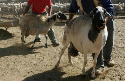 ΕΑΚ: Γι' αυτό τον λόγο αναστείλαμε δύο βραβεύσεις