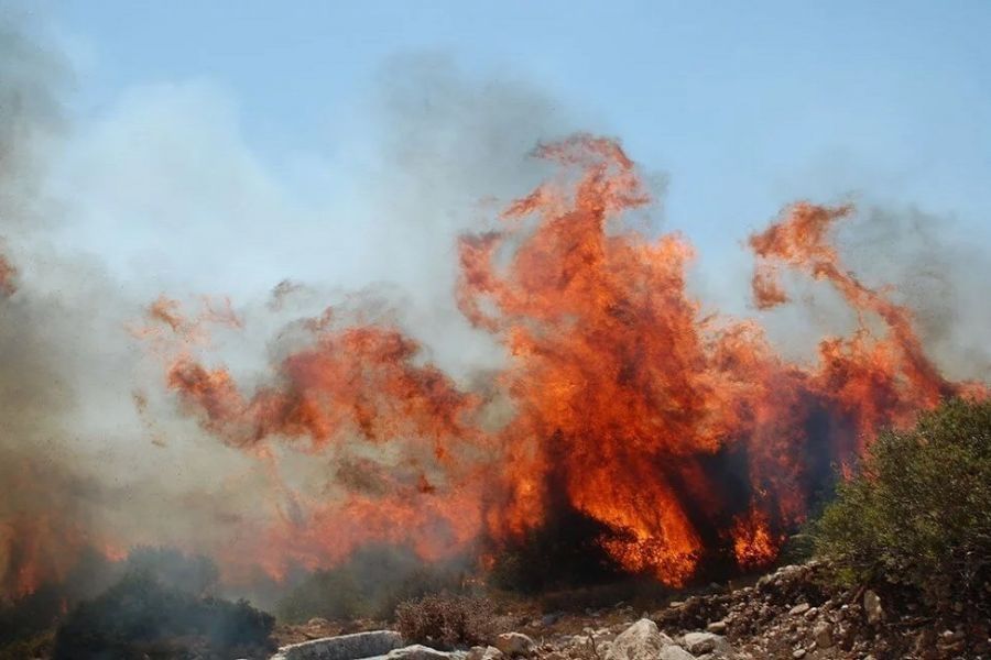 Ξέσπασε πυρκαγιά σε δύσβατη περιοχή της Λεμεσού