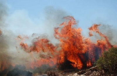 Φαίδωνας: Τέσσερις πανίσχυροι έμποροι ναρκωτικών με όπλα