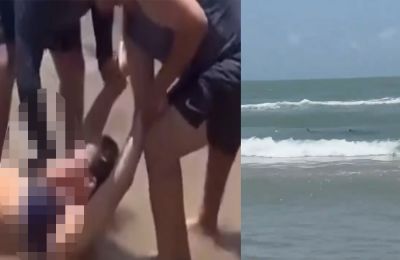 Τρόμος σε παραλία - Καρχαρίας επιτέθηκε και τραυμάτισε τέσσερα άτομα 