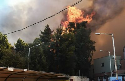 «Ήταν απόλυτο χάος, δεν έχω ξαναδεί κάτι τέτοιο»