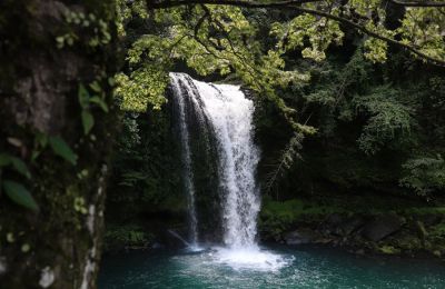 Φωτογραφία από unsplash