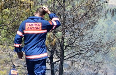 Α Φάση της μαρίνας Παραλιμνίου