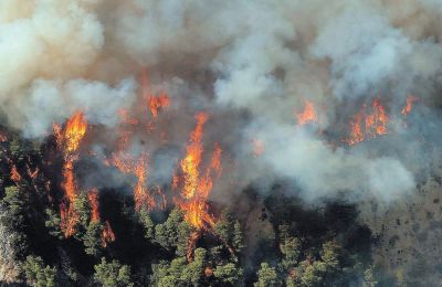 Πραγματοποιήθηκε η άσκηση «Τρίτωνας 2024» στο Ενεργειακό Κέντρο Βασιλικού