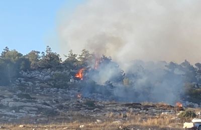 Φωτογραφία αρχείου