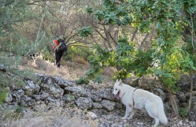 Νέα ανταλλαγή αιχμαλώτων πολέμου με μεσολάβηση τρίτης χώρας