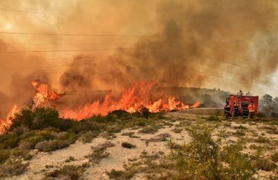 Τα έξι μποφόρ σήμαναν συναγερμό στο Τμήμα Δασών