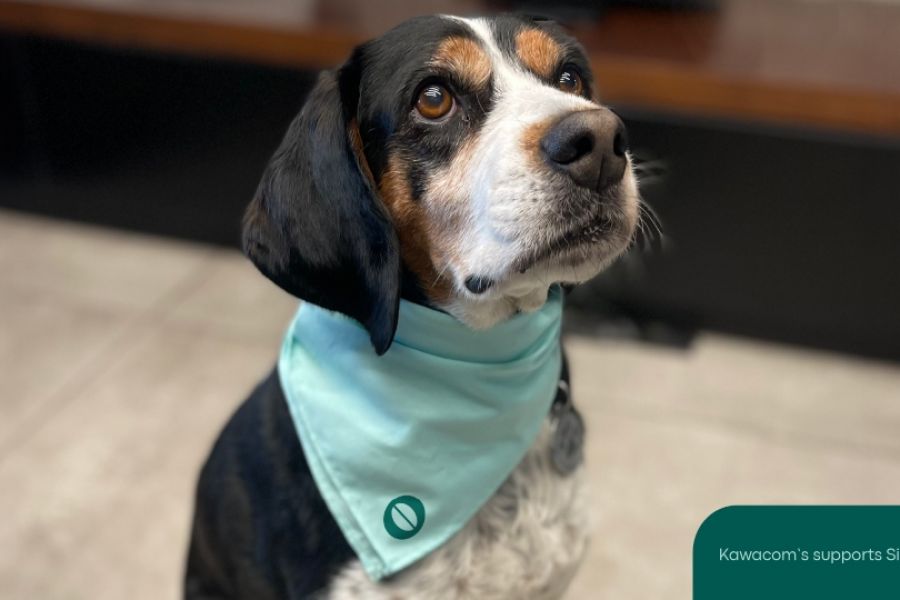 «Matchy Matchy Bandanas» για την στήριξη του καταφυγίου Simba Animal Aid – Cyprus Dog Shelter