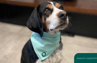 «Matchy Matchy Bandanas» για την στήριξη του καταφυγίου Simba Animal Aid – Cyprus Dog Shelter