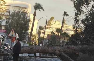 Ζημιές από τους ανέμους