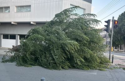 Φωτογραφία από ΚΑΙΡΟΦΙΛΟΙ ΚΥΠΡΟΥ