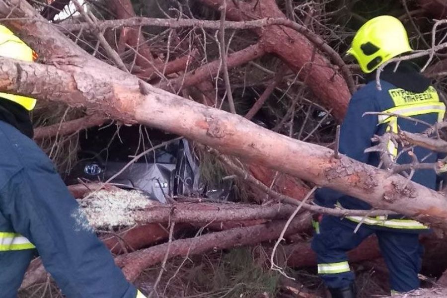 Εγκλωβίστηκαν οδηγοί από πτώση δέντρων και καλωδίων της ΑΗΚ