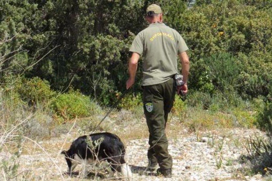 Απειλή για ζώα και δημόσια υγεία τα δηλητηριασμένα δολώματα