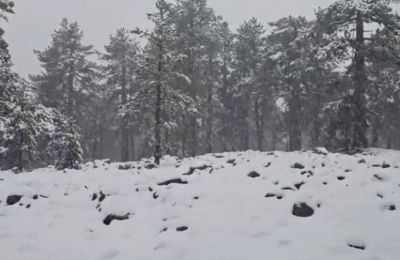 Το χιονισμένο Τροόδος