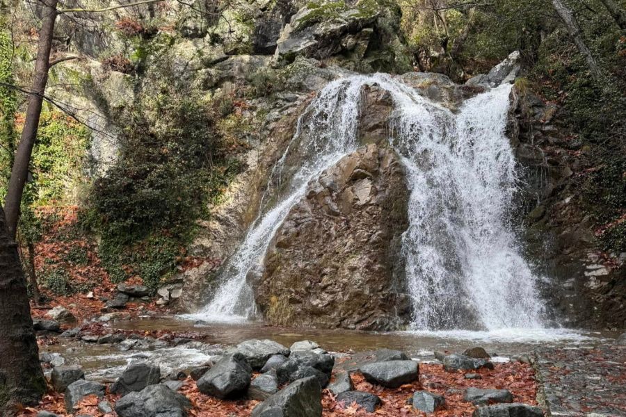 Αυτό ήταν το χριστουγεννιάτικο δώρο που μας άφησε η «Elena»