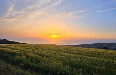 Η Κύπρος έχει όλες τις προϋποθέσεις να αναπτυχθεί ως ολόχρονος ποιοτικός τουριστικός προορισμός.