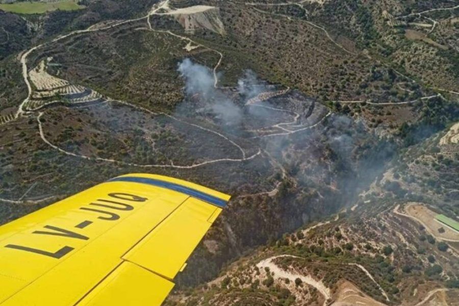 Σε διαθεσιμότητα τρεις εργαζόμενοι του Τμ. Δασών