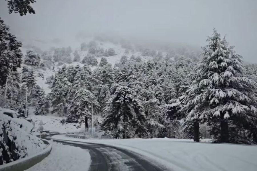 Μαγικές εικόνες από τα χιόνια στα ορεινά (ΒΙΝΤΕΟ, ΦΩΤΟΣ)