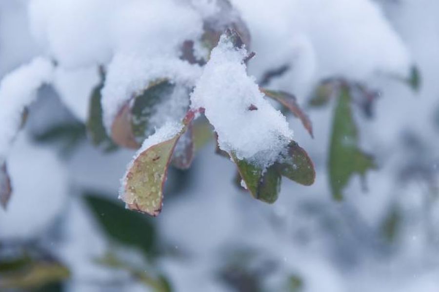 Μαγευτικές εικόνες από το χιονισμένο Τρόοδος (ΒΙΝΤΕΟ), 24Sports & News