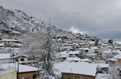 Πανέμορφο λευκό τοπίο στον Πεδουλά (Πηγή: Καιρόφιλοι Κύπρου, 6/12)