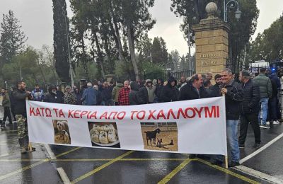 Φωτογραφίες από την διαμαρτυρία