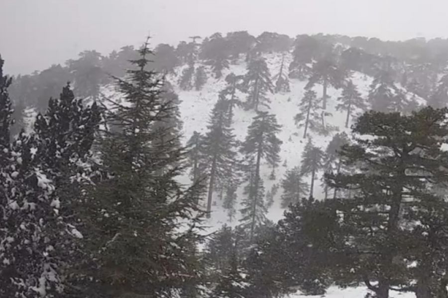 Άρχισε η χιονόπτωση στο Τρόοδος (ΦΩΤΟ)