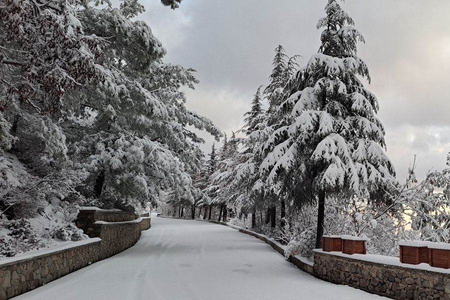 Νέα πορτοκαλί προειδοποίηση για ακραία χαμηλή θερμοκρασία