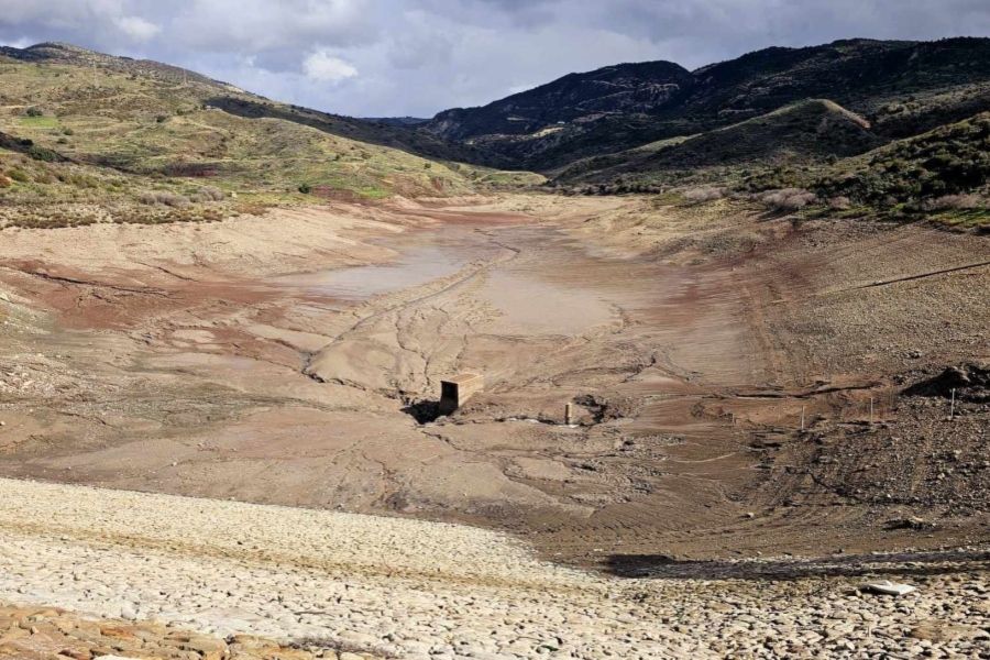 Μοναδικό προστατευόμενο είδος στην Ευρώπη θανατώθηκε στον Μαυροκόλυμπο