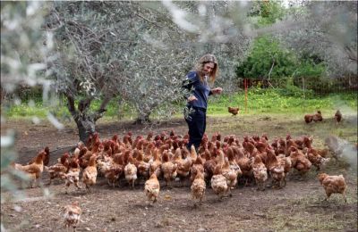 Οι βιοκαλλιεργητές στο Ακάκι και οι 