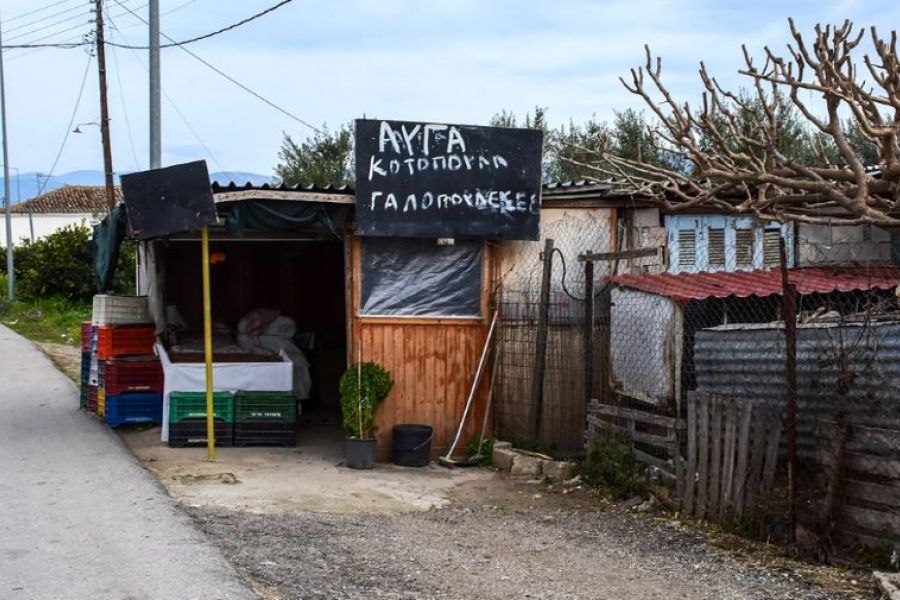 Πήγε να ληστέψει 72χρονη αλλά έπεσε νεκρός από το μαχαίρι της