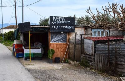 Στους αστυνομικούς είπε ότι χτύπησε τον 50χρονο στο στήθος με το μαχαίρι που καθάριζε τα φρούτα