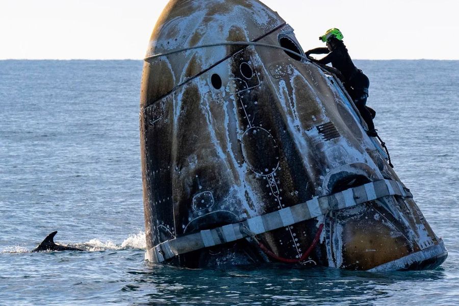 Δελφίνια υποδέχθηκαν τους αστροναύτες που επέστρεψαν στη Γη (BINTEO)